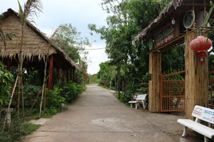 Về miền Tây ăn cháo bung bung, dạo mé sông Tiền