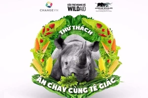 Ăn chay cùng tê giác