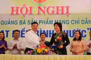 Bắt tay phát triển đặc sản hạt điều nổi tiếng Bình Phước