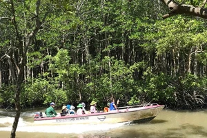 Huyện Cần Giờ đã có đề án phát triển kinh tế đêm 