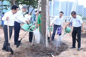 Trồng 15.000 cây hướng dương dọc bờ sông Sài Gòn 