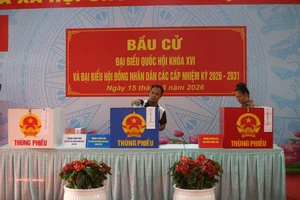 TP.HCM không có khu vực bỏ phiếu có tỷ lệ cử tri đi bầu dưới 50%