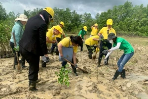 Kiều bào trồng 600 cây cóc trắng tại khu sinh quyển Cần Giờ