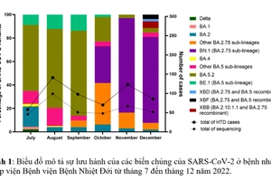 TP.HCM đang kiểm soát tốt COVID-19 
