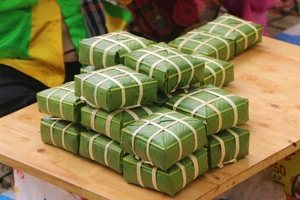 Đầm Sen tặng 1.000 bánh chưng cho du khách dịp giỗ tổ Hùng Vương