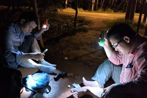 Dùng mồi người bắt muỗi đêm để giám sát sốt rét