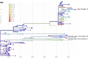 Kết quả giải mã gene ca mắc đậu mùa khỉ nội địa đầu tiên tại TP.HCM
