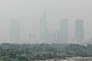 Cách nhận biết chất lượng không khí ảnh hưởng thế nào đến sức khỏe