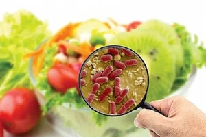 Nắng nóng, những thức ăn nào dễ ôi thiu, gây ngộ độc thực phẩm? 