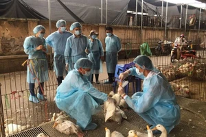 Viện Pasteur TP.HCM thông tin về ca cúm A(H9) lần đầu phát hiện tại Việt Nam