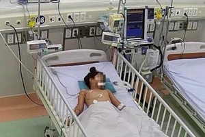 Bé gái 11 tuổi bị rắn độc cắn ngay trong nhà bếp