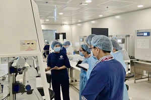 Một bệnh viện ở TP.HCM thụ tinh trong ống nghiệm sai phép