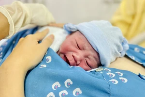 Tỉ lệ vô sinh, hiếm muộn tại Việt Nam tăng nhanh chóng