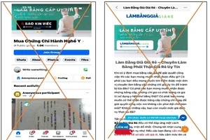 Chuyển vụ việc làm giả chứng chỉ hành nghề khám, chữa bệnh sang công an 