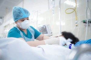 Bé trai bị nhánh cây rơi trúng đầu khi đi học về hôn mê sâu, thở máy