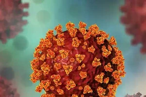 Sở Y tế TP.HCM thông tin về biến thể mới làm gia tăng COVID-19