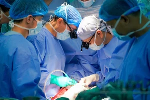 Trái tim xuyên Việt 1.600 km hồi sinh bé trai 9 tuổi ở TP.HCM