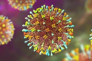 Bệnh do virus Nipah có nguy hiểm như dịch COVID-19?