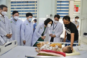 Tay chân miệng diễn biến phức tạp, Thứ trưởng Bộ Y tế vào TP.HCM chỉ đạo phòng chống