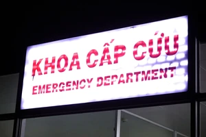 Phát hiện vi khuẩn Salmonella trong mẫu phân của bệnh nhân nghi ngộ độc thực phẩm tại 1 trường tiểu học ở TP.HCM