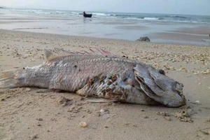 2.000 tỉ hỗ trợ thiệt hại do sự cố biển cho Quảng Bình