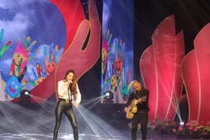 Hà Hồ, Mỹ Tâm, Đàm Vĩnh Hưng... cùng 'xoa dịu nỗi đau da cam'