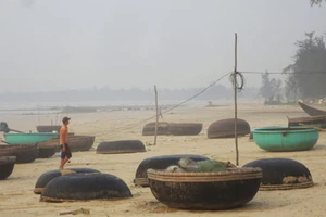 Nhiều tổ chức vào cuộc vụ cá chết ở miền Trung