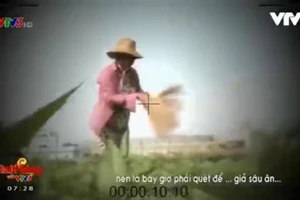 VTV đình chỉ phóng viên thực hiện phóng sự “Cây chổi quét rau”