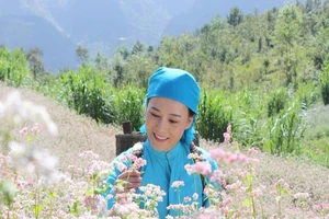 Hà Giang đẹp say lòng trong phim về tục 'cướp vợ'