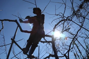 Xuất khẩu lao động, ám ảnh miền đất hứa lên sóng VTV