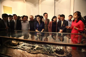 'Những người muôn năm cũ' lên tiếng qua những cổ vật