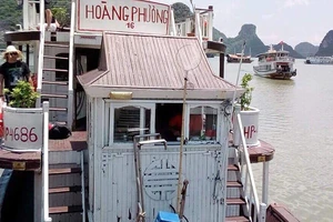 Trải nghiệm tồi tệ của khách Úc, Tổng cục xin lỗi