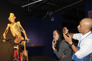 Triển lãm cơ thể người: Cục đã từ chối sao Sở lại cấp phép?