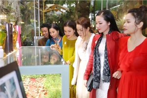 Sao Việt đổ bộ xem Báu vật đại ngàn