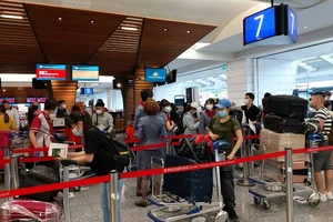 Hơn 300 công dân Việt Nam từ Đài Loan về nước