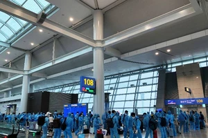 313 người Việt tại Hàn Quốc đã được đưa về nước 