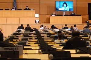 Việt Nam cam kết bảo vệ và thúc đẩy quyền con người 