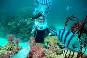 Phú Quốc triển khai kích cầu du lịch với nhiều ưu đãi hấp dẫn 