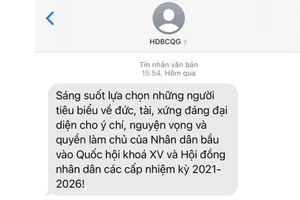 Sau tin nhắn, nhà mạng sẽ phát âm thông báo về bầu cử