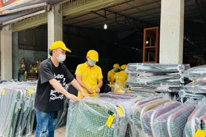 Ca sĩ Tùng Dương mua vật liệu thiết yếu gửi TP.HCM chống dịch