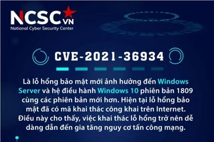 NCSC khuyến cáo người dùng Việt Nam về lỗ hổng bảo mật trên Windows