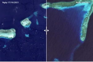 Hàng trăm tàu Trung Quốc xâm phạm nghiêm trọng chủ quyền của Việt Nam