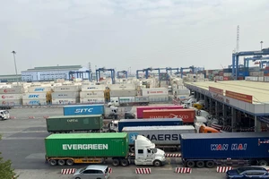 21 khuyến nghị để giảm ùn tắc tại cảng Cát Lái