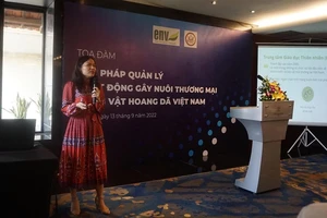 'Phù phép' động vật bị săn bắt tự nhiên thành động vật hoang dã