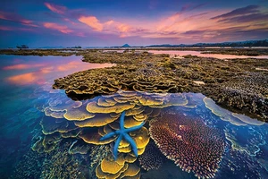 Ngành du lịch phát động cuộc thi ảnh Amazing Vietnam 