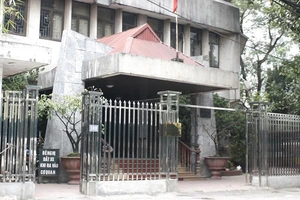 Viện Nghiên cứu Hán Nôm bị thất lạc 25 cuốn sách cổ