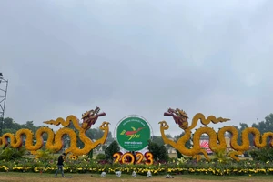 Ngày thơ Việt Nam sẽ khai mạc như sự nở bừng của đóa hoa thơ