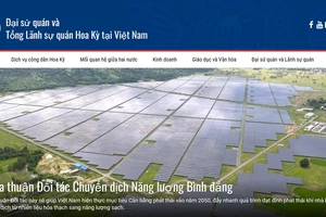 Bắt giữ 1 người quốc tịch Việt Nam sử dụng giấy tờ giả khi xin thị thực du học