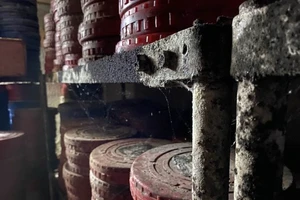 Rà soát kỹ vi phạm liên quan cổ phần hóa Hãng phim truyện Việt Nam