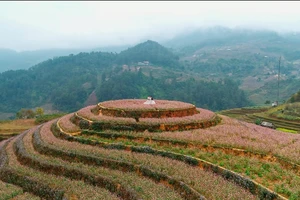 Phim 'Chạm vào hạnh phúc' hội tụ danh lam thắng cảnh đẹp nhất phía Bắc